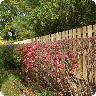 FallShrubsWithWoodenSemi-privateFence2
