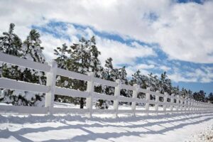 Snow-Covered-Fence