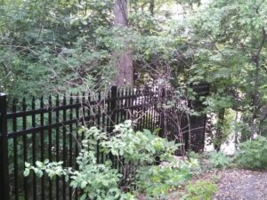 Aluminum ornamental fence in Heritage Hill