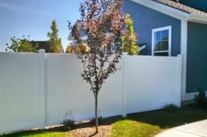clean-vinyl-fence