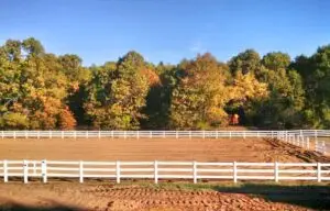 Polyvinyl Ranch Rail