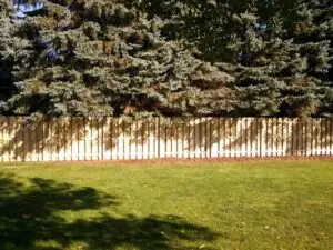 Custom Built, Treated Wood, Shadowbox Style, Wood Fence,
